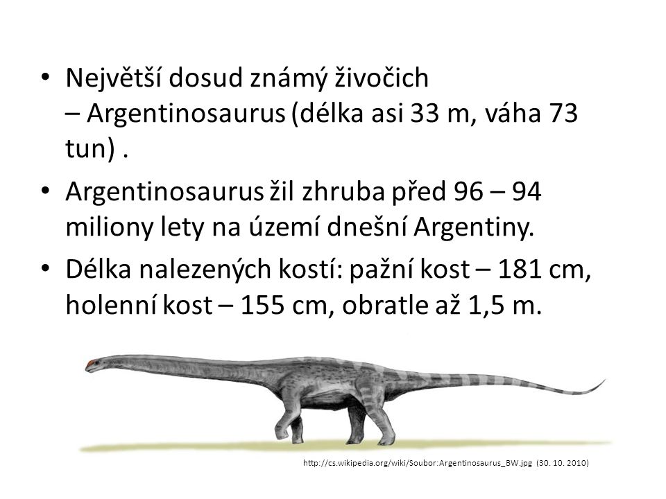 Největší dosud známý živočich – Argentinosaurus (délka asi 33 m, váha 73 tun) .