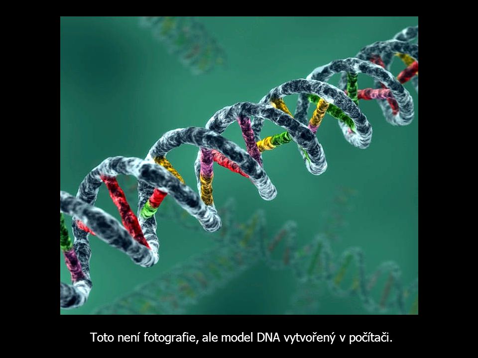Toto není fotografie, ale model DNA vytvořený v počítači.