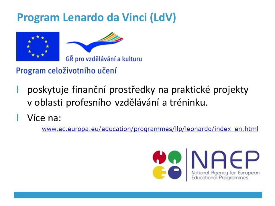 Program Lenardo da Vinci (LdV)
