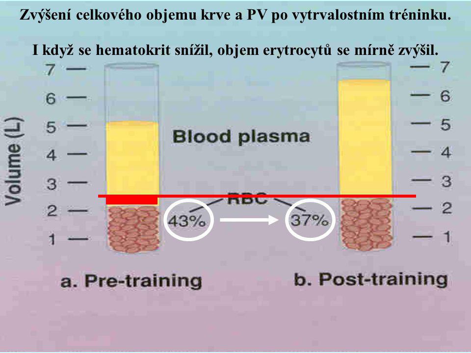 Zvýšení celkového objemu krve a PV po vytrvalostním tréninku.