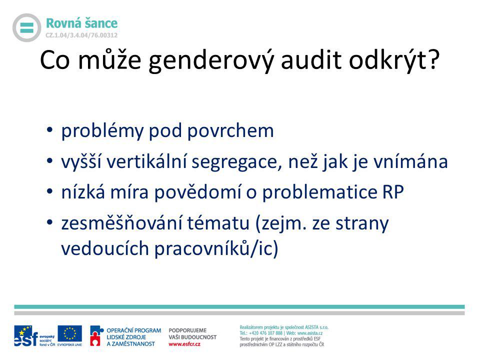 Co může genderový audit odkrýt