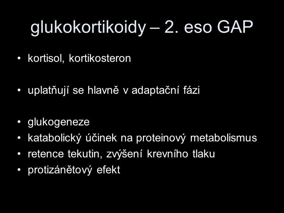 glukokortikoidy – 2. eso GAP