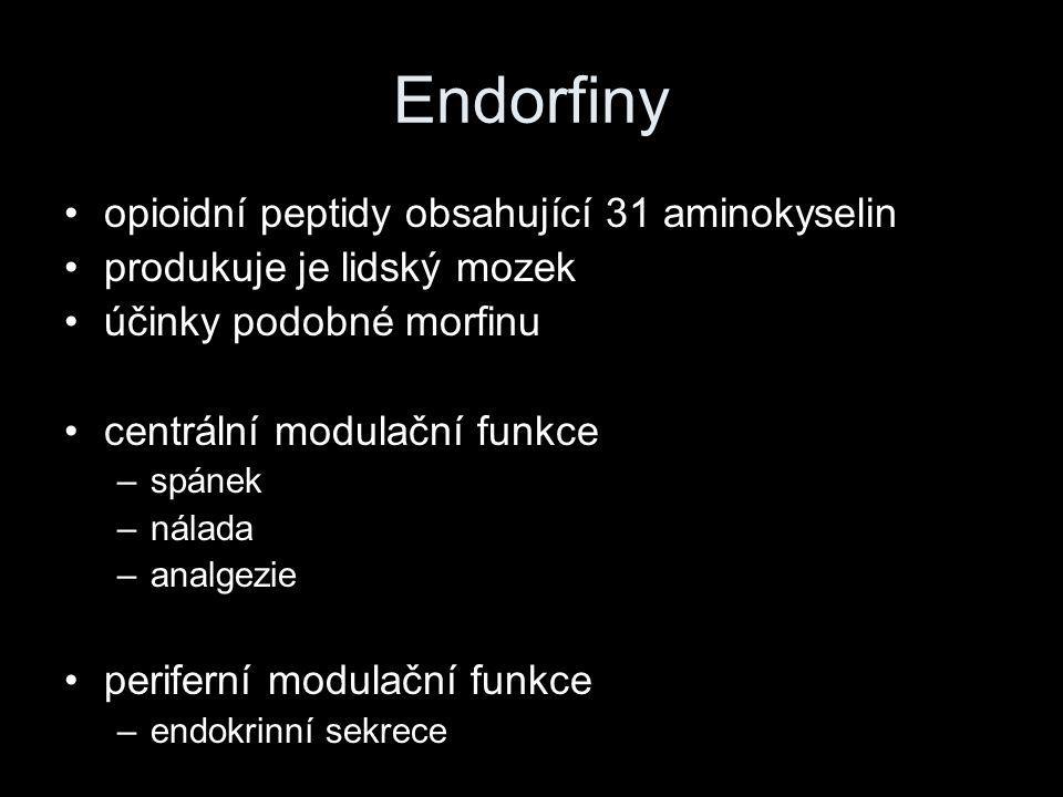 Endorfiny opioidní peptidy obsahující 31 aminokyselin