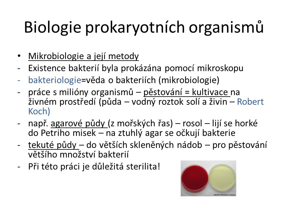 Biologie prokaryotních organismů