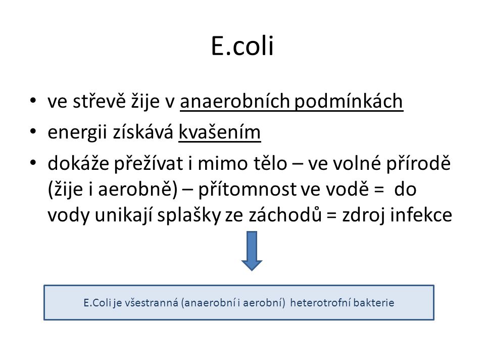 E.Coli je všestranná (anaerobní i aerobní) heterotrofní bakterie