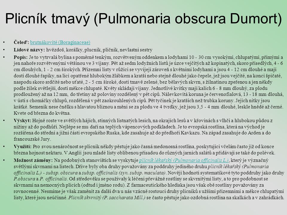 Plicník tmavý (Pulmonaria obscura Dumort)