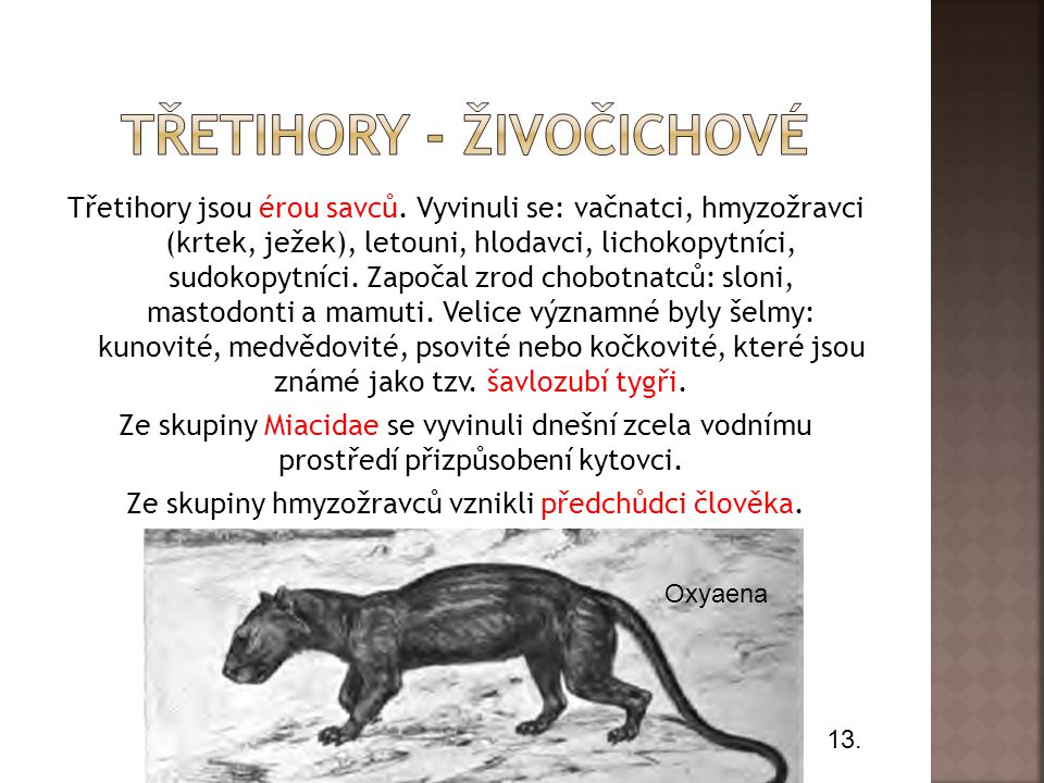 Kteří živočichové žili v třetihorách?