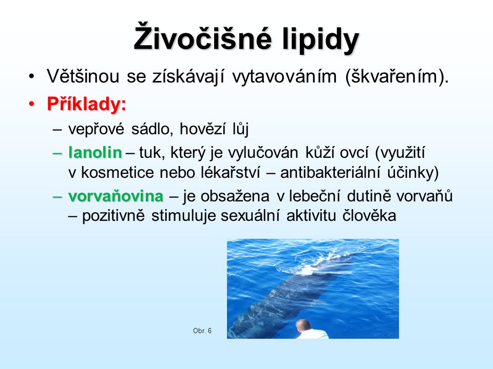 Živočišné lipidy Většinou se získávají vytavováním (škvařením).