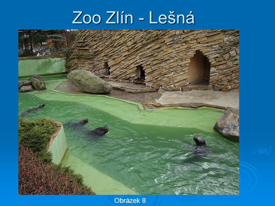 Zoo Zlín - Lešná Obrázek 8