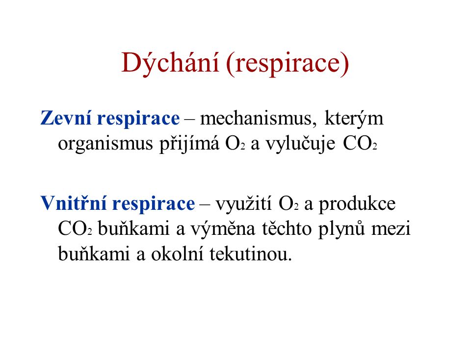 Dýchání (respirace) Zevní respirace – mechanismus, kterým organismus přijímá O2 a vylučuje CO2.