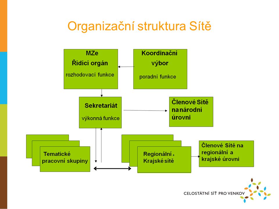 Organizační struktura Sítě