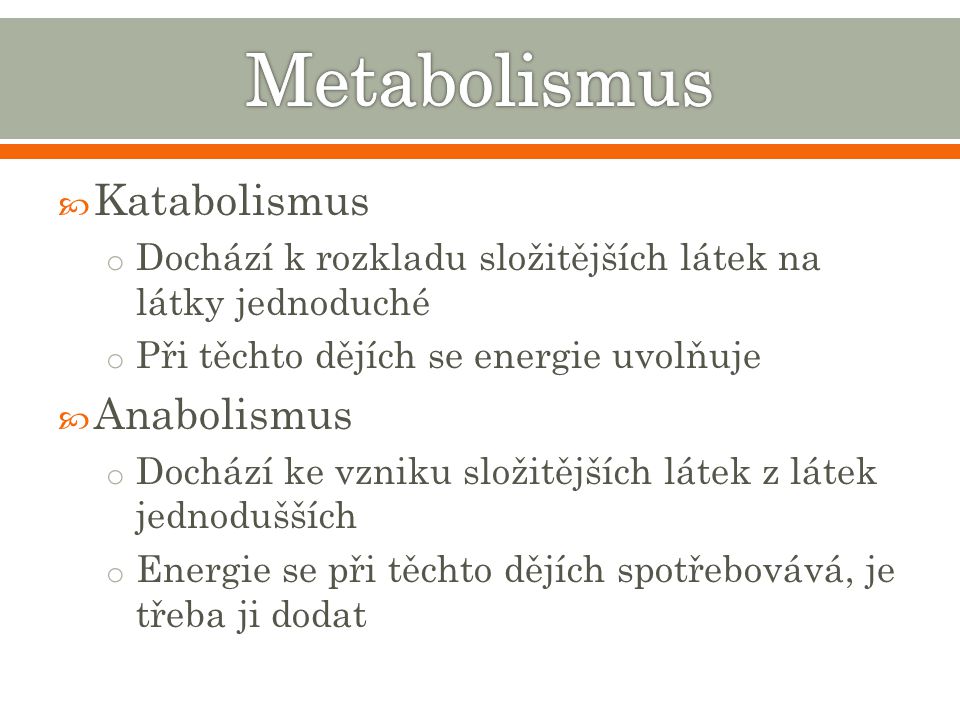 Metabolismus Katabolismus Anabolismus