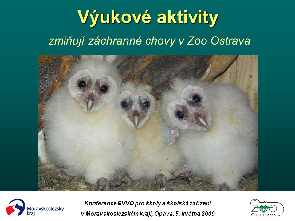 Výukové aktivity zmiňují záchranné chovy v Zoo Ostrava