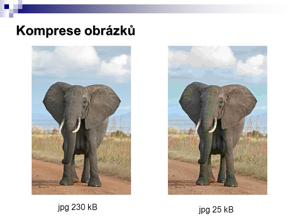 Komprese obrázků jpg 230 kB jpg 25 kB