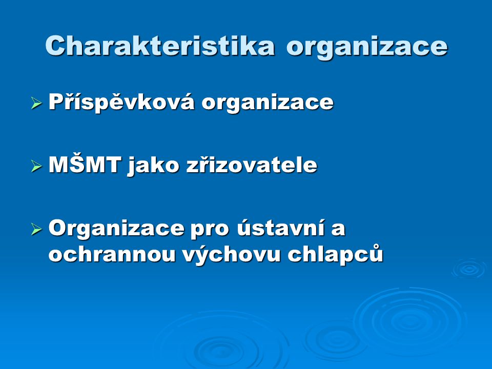Charakteristika organizace