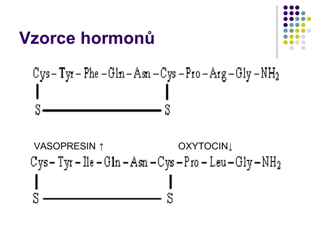 Vzorce hormonů VASOPRESIN ↑ OXYTOCIN↓