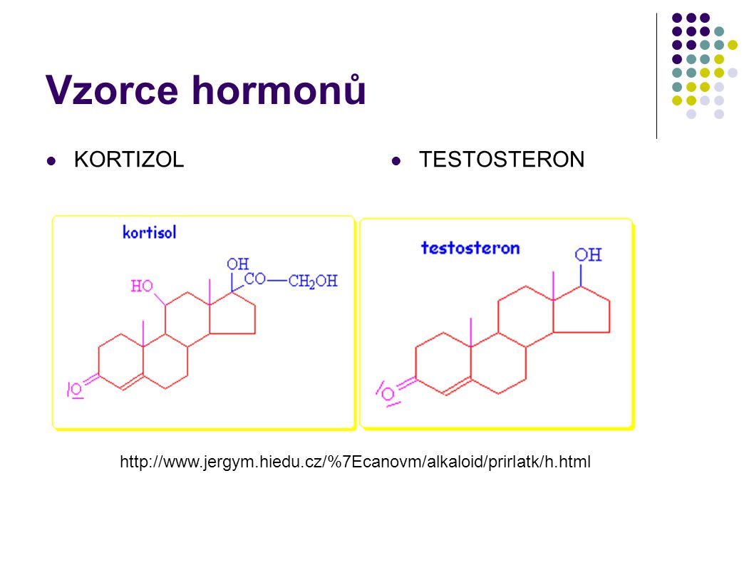 Vzorce hormonů KORTIZOL TESTOSTERON
