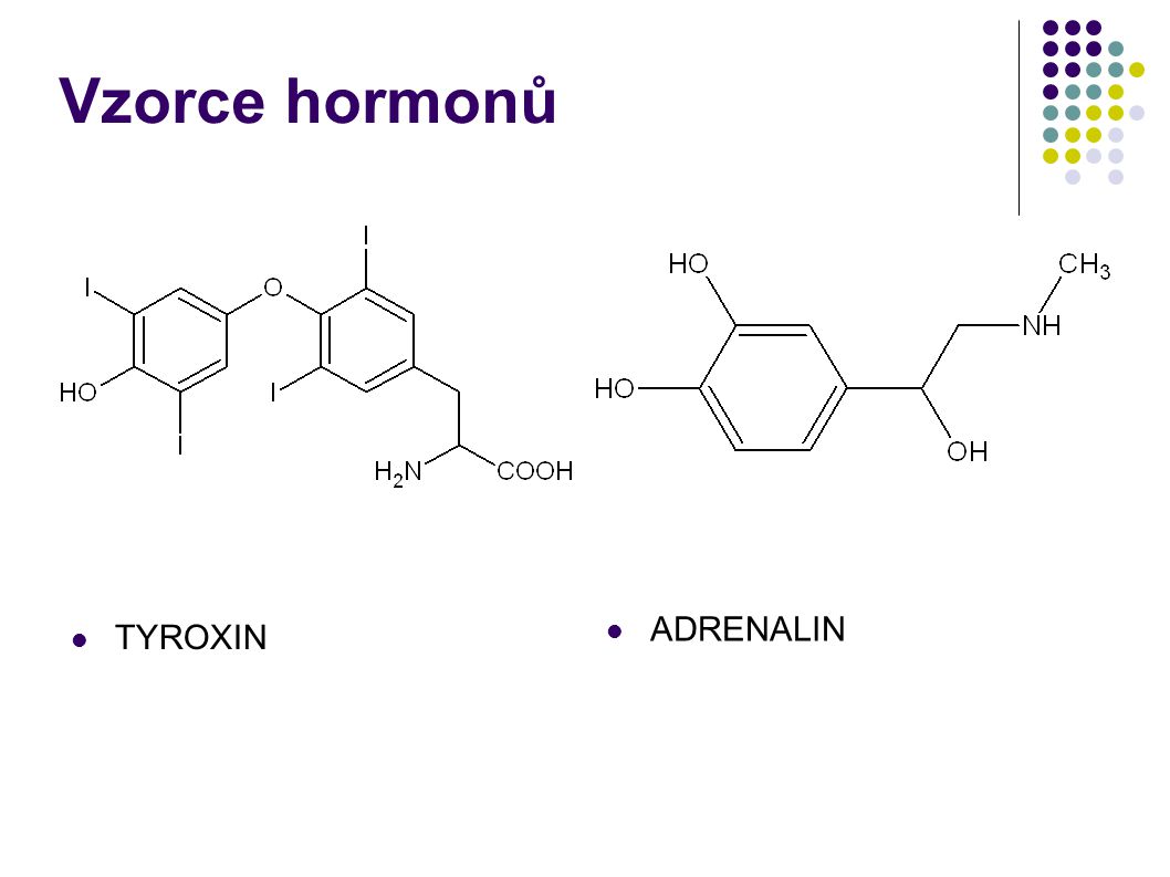Vzorce hormonů ADRENALIN TYROXIN