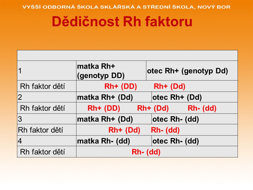 Dědičnost Rh faktoru 1 matka Rh+ (genotyp DD) otec Rh+ (genotyp Dd)