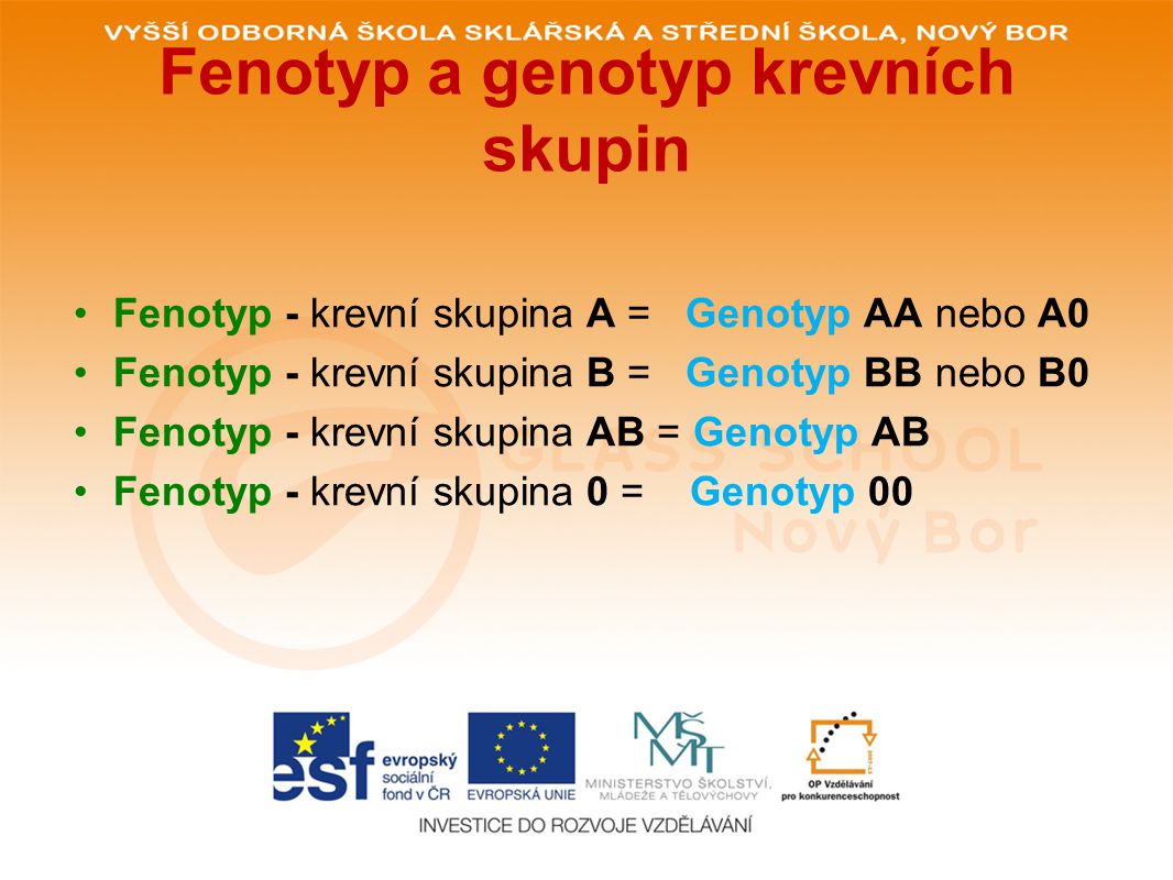 Fenotyp a genotyp krevních skupin
