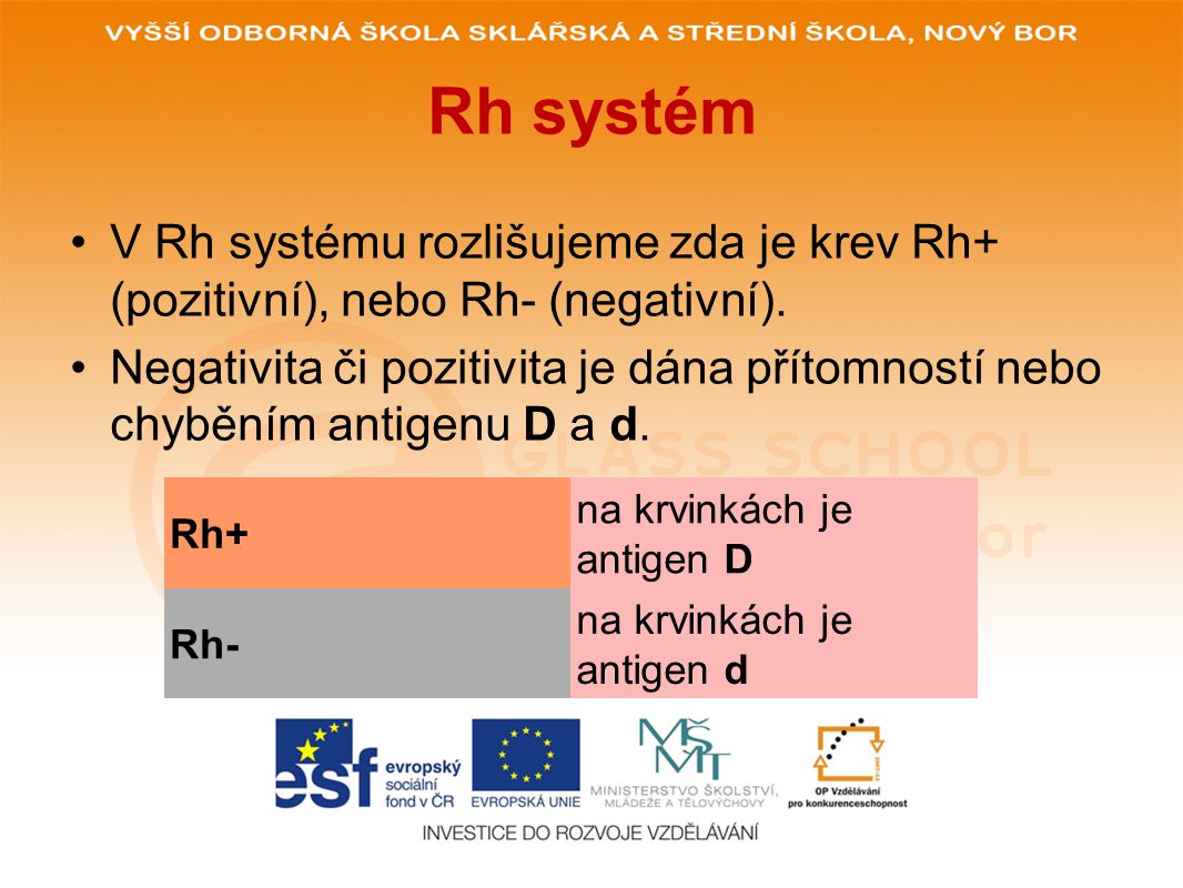 Rh systém V Rh systému rozlišujeme zda je krev Rh+ (pozitivní), nebo Rh- (negativní).