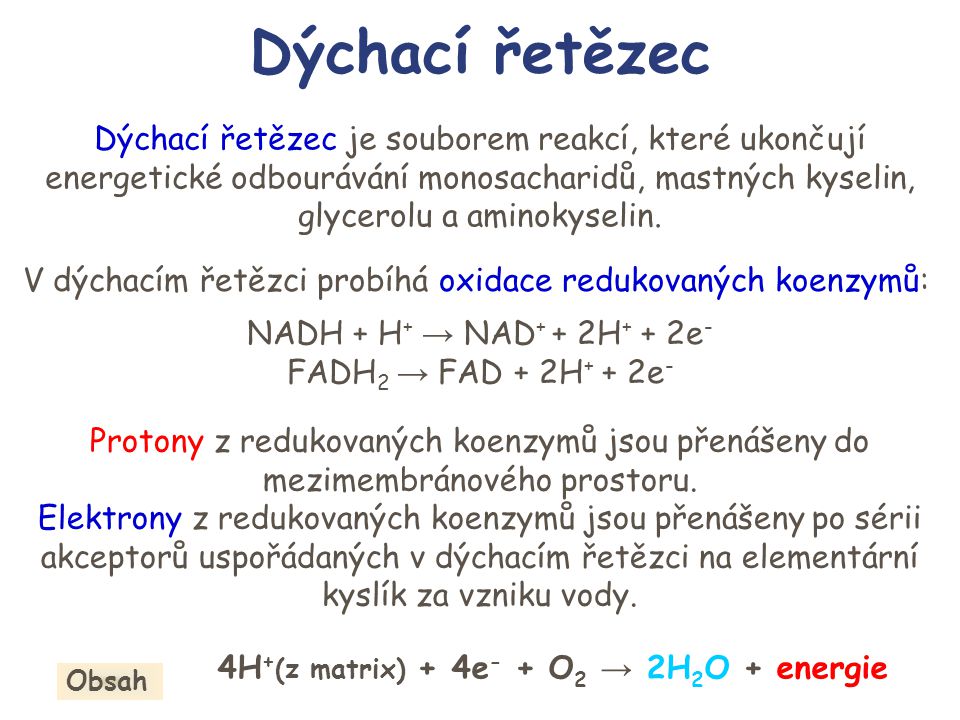 4H+(z matrix) + 4e- + O2 → 2H2O + energie