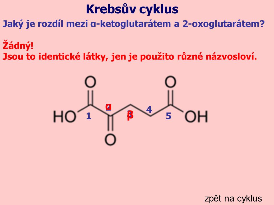 Krebsův cyklus Jaký je rozdíl mezi α-ketoglutarátem a 2-oxoglutarátem Žádný! Jsou to identické látky, jen je použito různé názvosloví.