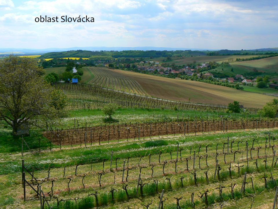 oblast Slovácka