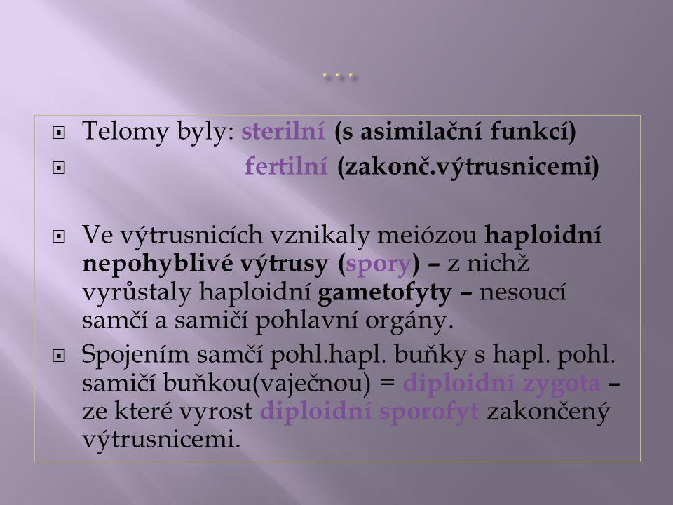… Telomy byly: sterilní (s asimilační funkcí)