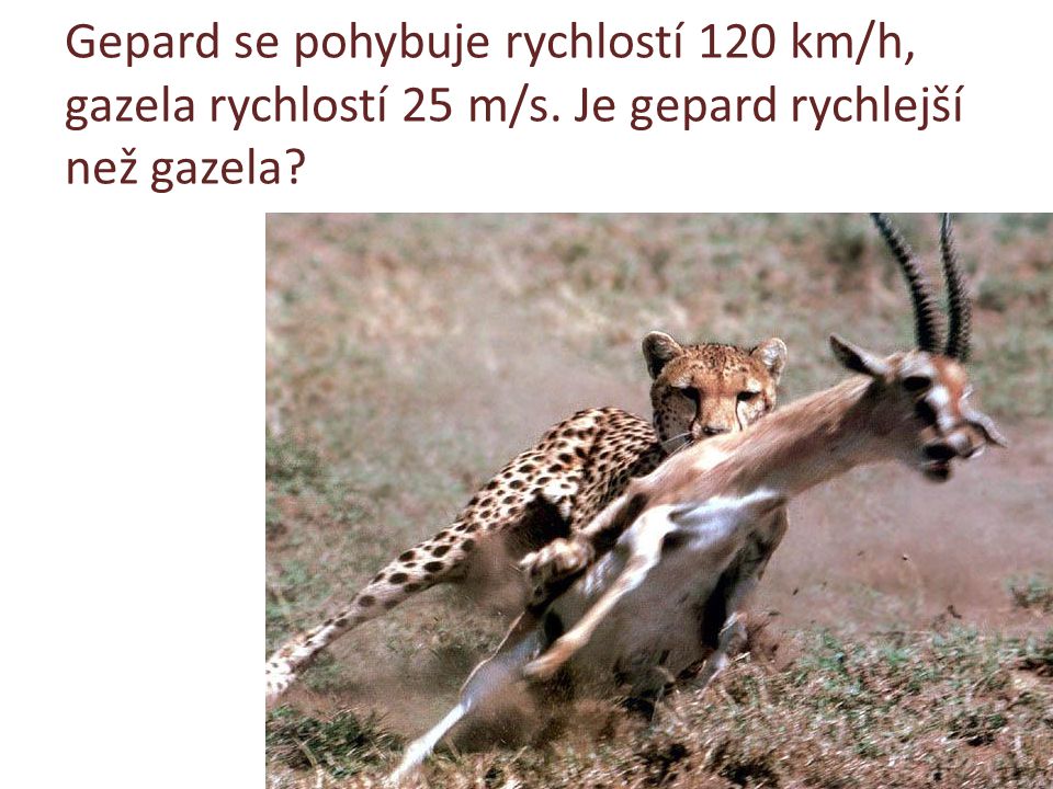 Gepard se pohybuje rychlostí 120 km/h, gazela rychlostí 25 m/s