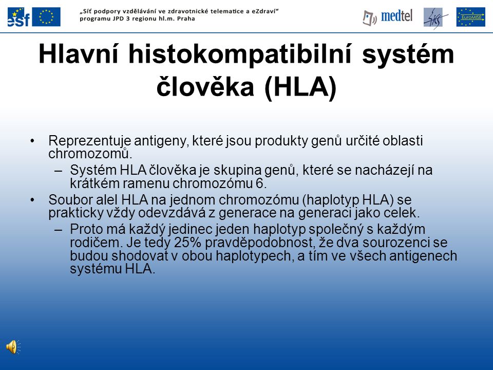 Hlavní histokompatibilní systém člověka (HLA)