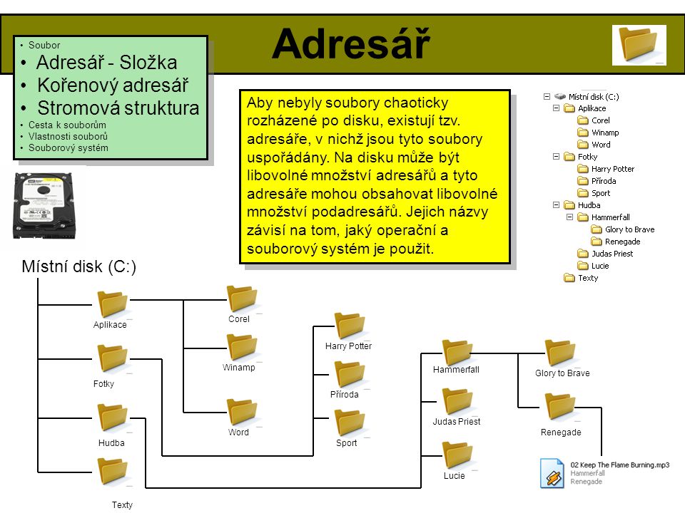 Adresář Adresář - Složka Kořenový adresář Stromová struktura