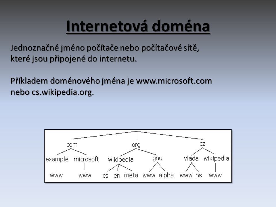 Internetová doména Jednoznačné jméno počítače nebo počítačové sítě, které jsou připojené do internetu.
