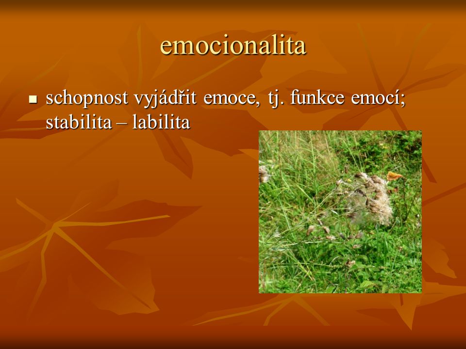 emocionalita schopnost vyjádřit emoce, tj. funkce emocí; stabilita – labilita
