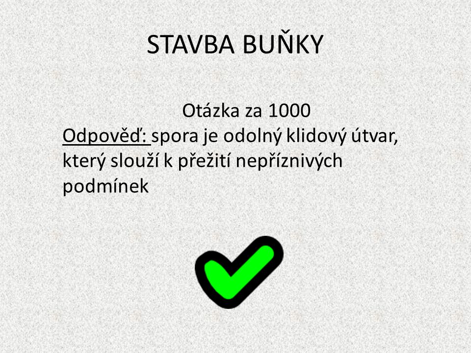 STAVBA BUŇKY Otázka za 1000.