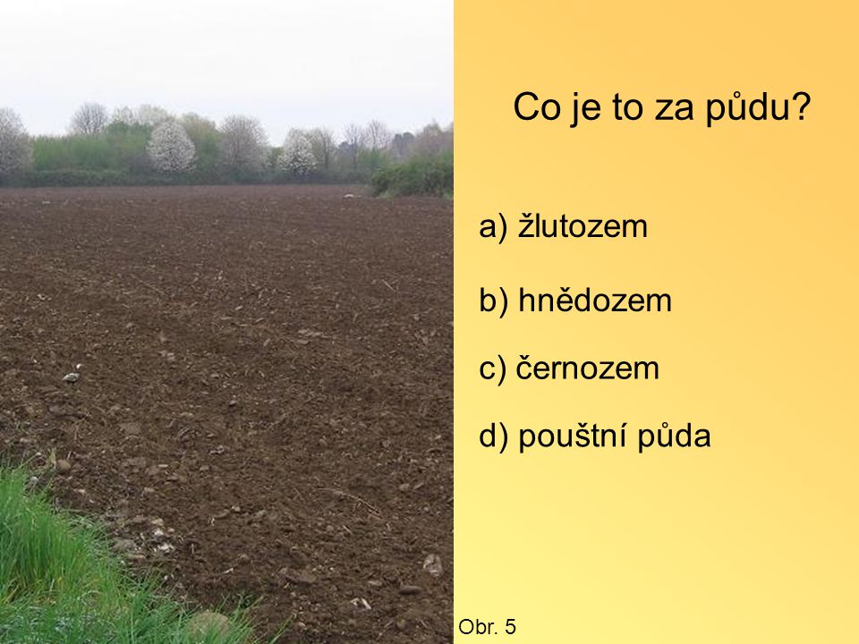Co je to za půdu a) žlutozem b) hnědozem c) černozem d) pouštní půda