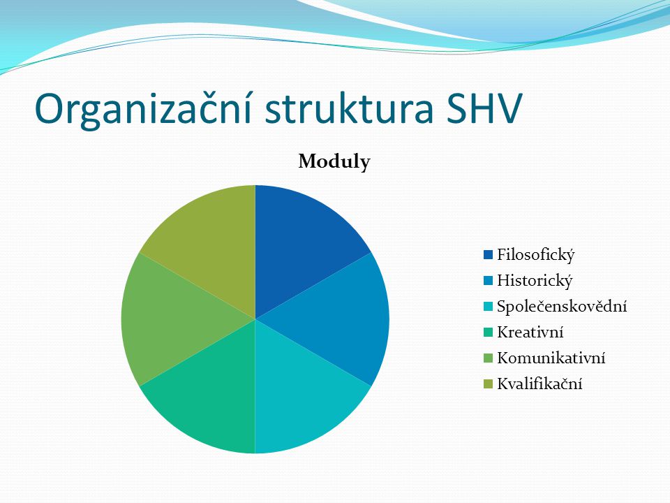 Organizační struktura SHV