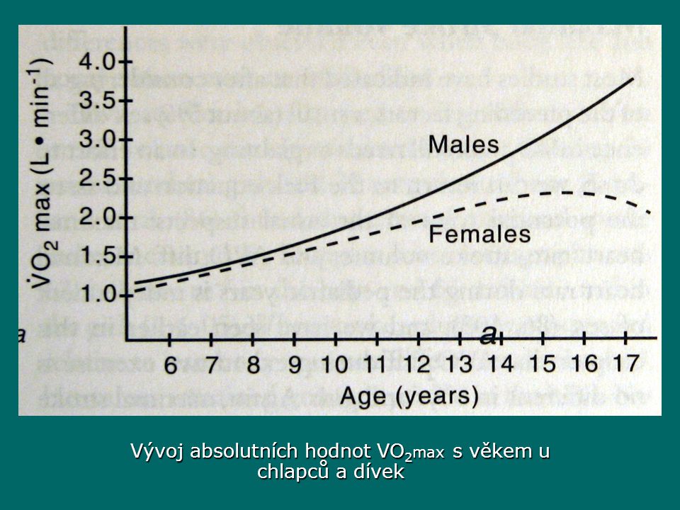 Vývoj absolutních hodnot VO2max s věkem u chlapců a dívek
