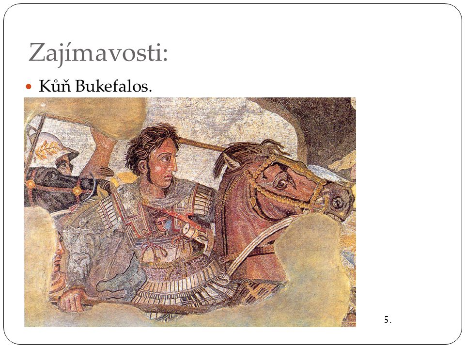 Zajímavosti: Kůň Bukefalos. 5.