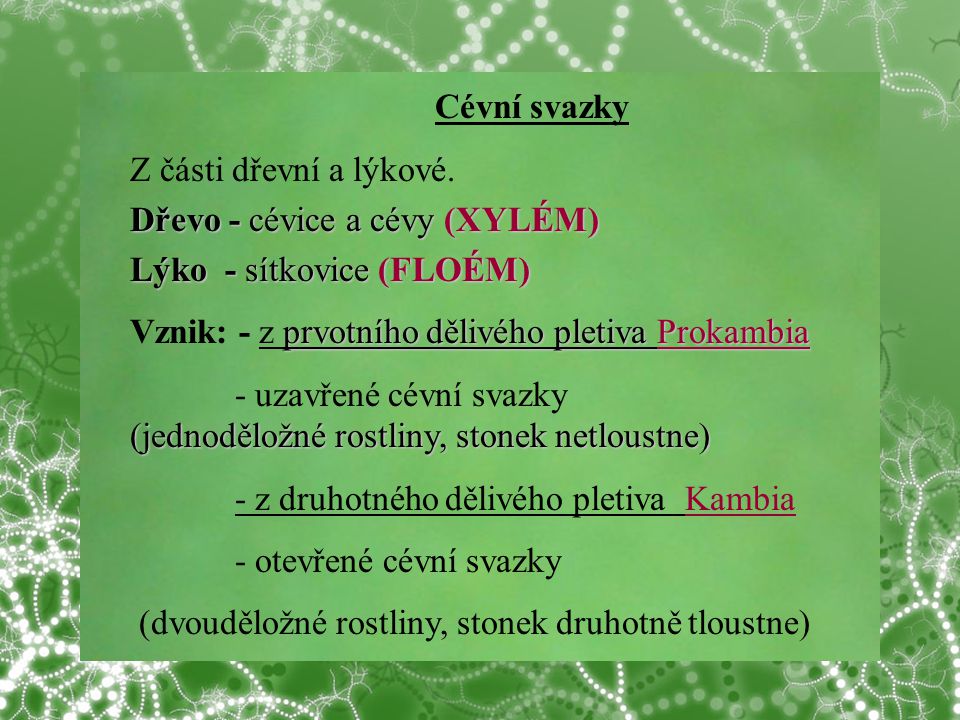 Cévní svazky Z části dřevní a lýkové. Dřevo - cévice a cévy (XYLÉM) Lýko - sítkovice (FLOÉM) Vznik: - z prvotního dělivého pletiva Prokambia.