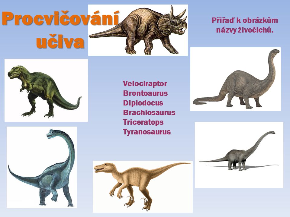 Procvičování učiva Přiřaď k obrázkům názvy živočichů. Velociraptor