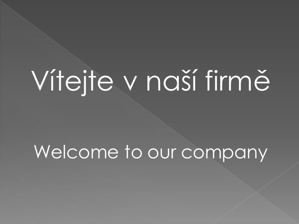 Vítejte v naší firmě Welcome to our company