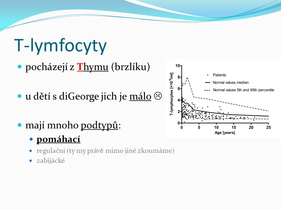 T-lymfocyty pocházejí z Thymu (brzlíku)