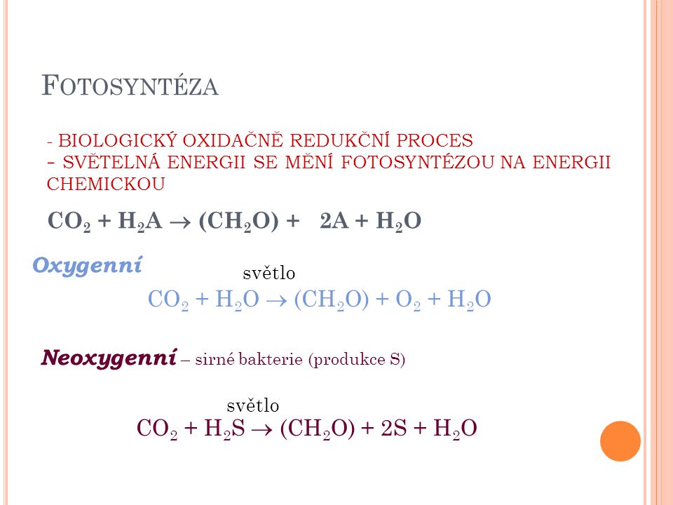 Fotosyntéza Oxygenní CO2 + H2O  (CH2O) + O2 + H2O