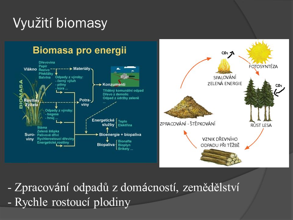 Využití biomasy - Zpracování odpadů z domácností, zemědělství