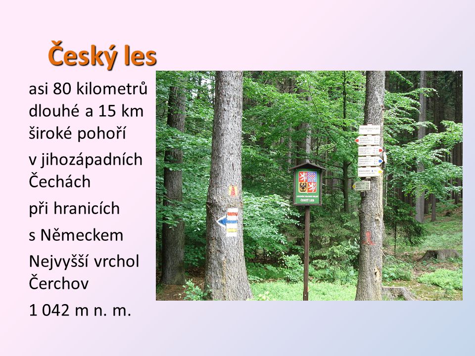 Český les asi 80 kilometrů dlouhé a 15 km široké pohoří