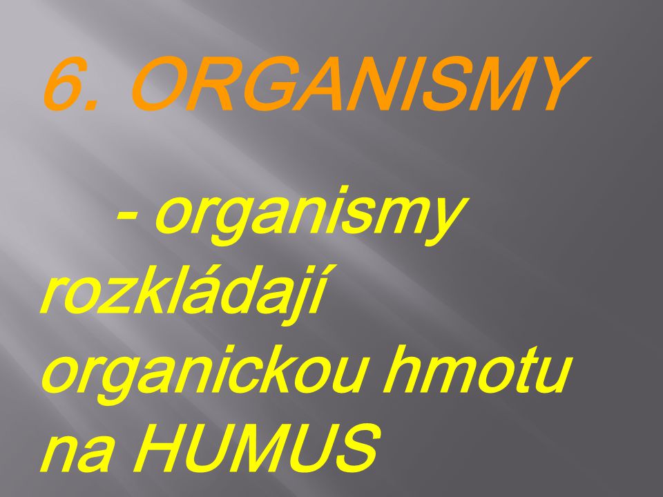 6. ORGANISMY - organismy rozkládají organickou hmotu na HUMUS