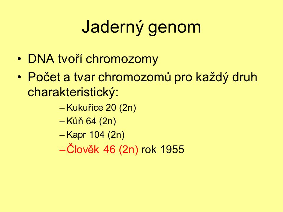 Jaderný genom DNA tvoří chromozomy