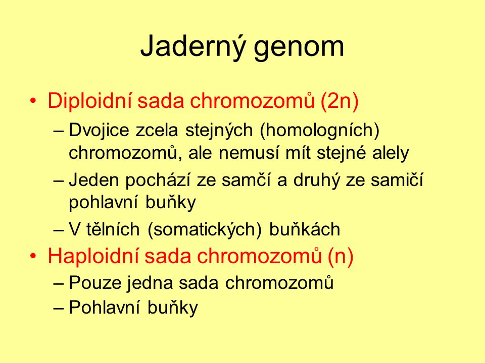 Jaderný genom Diploidní sada chromozomů (2n)