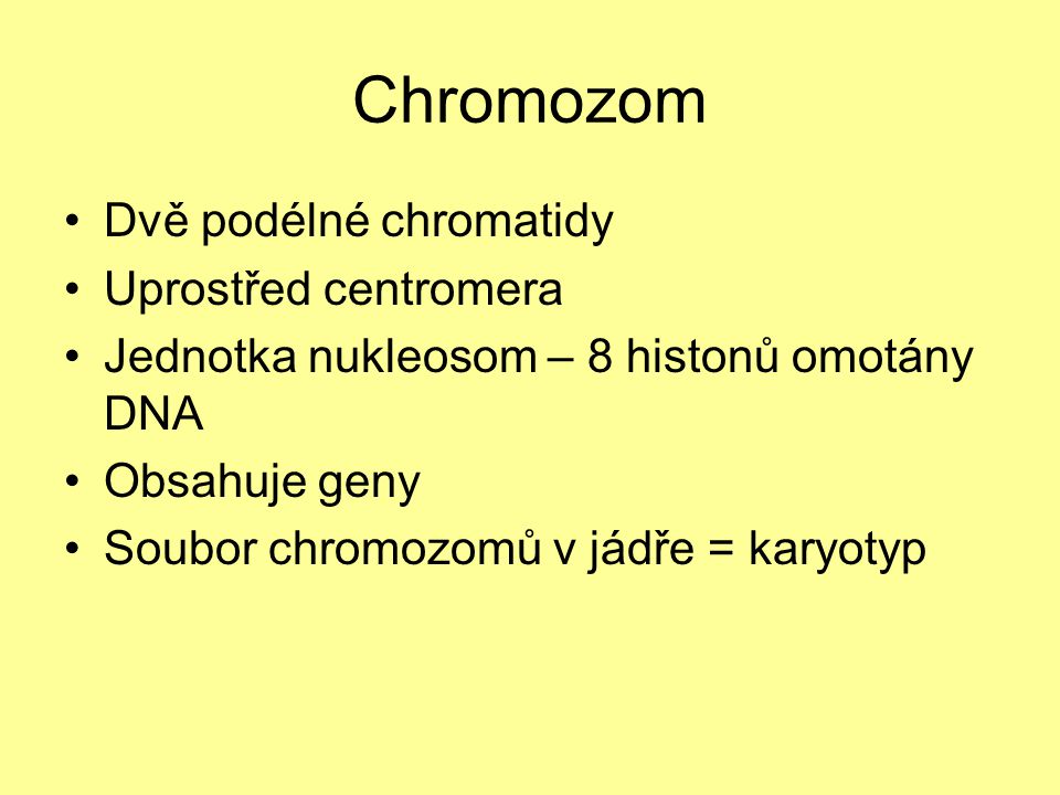 Chromozom Dvě podélné chromatidy Uprostřed centromera